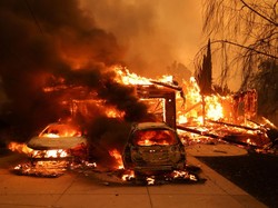 Bertambah, 10 Orang Tewas Akibat Kebakaran Hutan Los Angeles