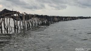 Melihat dari Dekat Pagar Misterius 30,16 Km di Laut Tangerang