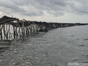 Ada Kelompok Nelayan Ngaku Bangun Pagar Misterius di Laut Tangerang Ada Kelompok Nelayan Ngaku Bangun Pagar Misterius di Laut Tangerang