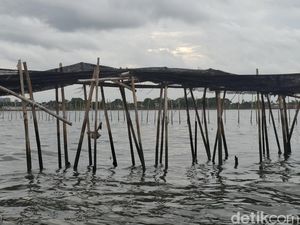 Geger Kelompok Nelayan Ngaku Bikin Pagar 30 Km di Laut Tangerang Geger Kelompok Nelayan Ngaku Bikin Pagar 30 Km di Laut Tangerang