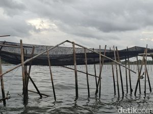 Pagar Misterius di Laut Tangerang Diklaim buat Cegah Abrasi Pagar Misterius di Laut Tangerang Diklaim buat Cegah Abrasi