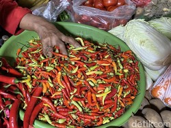 Siasat Pedagang Hadapi Pedasnya Harga Cabai di Surabaya