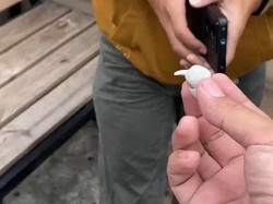 Misi Tak Biasa Petugas Damkar Bandung Evakuasi TWS dari Gorong-Gorong