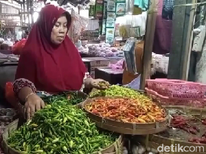 Omzet Pedagang di Lumajang Turun 50 Persen gegara Harga Cabai Naik Omzet Pedagang di Lumajang Turun 50 Persen gegara Harga Cabai Naik
