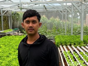 Suara Petani Milenial Bandung di Tengah Meroketnya Harga Cabai