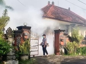 DBD di Jembrana Capai 332 Kasus pada 2024, Turun Dibandingkan 2023