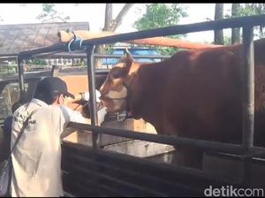 Pasar Hewan di Ngawi Akan Ditutup Seiring Meningkatnya Kasus PMK Pasar Hewan di Ngawi Akan Ditutup Seiring Meningkatnya Kasus PMK