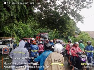 Pohon Tumbang di Jalan Lintas Lahat-Pagar Alam, Ratusan Kendaraan Terjebak