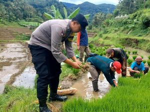 Dukung Ketahanan Pangan, Polisi di Ponorogo Ikut Bantu Tanam Padi