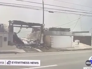 25 Artis Korban Kebakaran LA: Paris Hilton Saksikan Rumahnya Hangus dari TV 25 Artis Korban Kebakaran LA: Paris Hilton Saksikan Rumahnya Hangus dari TV