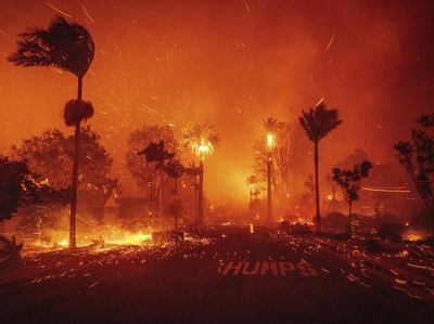 Bingkai Sepekan: Los Angeles Membara Dilanda Kebakaran Hutan