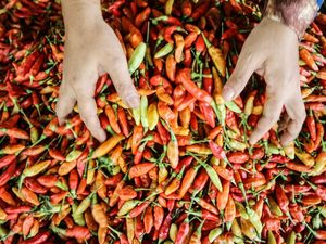 Harga Sembako Jatim Hari Ini, Cabai Rawit dan Bawang Merah Naik Harga Sembako Jatim Hari Ini, Cabai Rawit dan Bawang Merah Naik