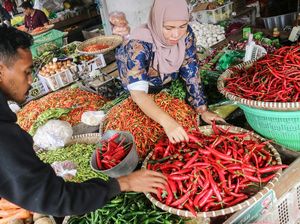 Harga Cabai Makin Pedas, di Palangka Raya Tembus Rp 100 Ribu/Kg Harga Cabai Makin Pedas, di Palangka Raya Tembus Rp 100 Ribu/Kg