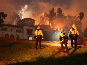 Kebakaran Hutan Makin Sering, Seberapa Terancam Kota Besar?