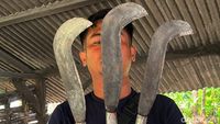 Produksi Bendo Ala Pande Besi yang Eksis 53 Tahun di Mojokerto