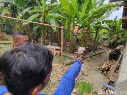 Bu Guru Mesum dengan Siswa Grobogan Sempat Kepergok Berduaan di Kamar Mandi