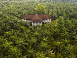 Tanggal 18 November 2025 Memperingati Hari Apa? Cek 5 Momen Ini!