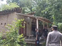 Satu Warga Probolinggo Meninggal Tertimpa Pohon Jati Tumbang