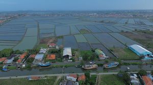 Potret Tambak Mati yang Mau Disulap Jadi Pabrik