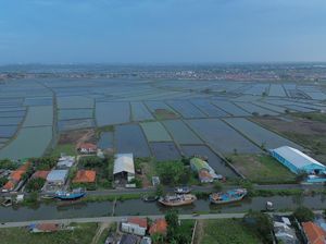 Potret Tambak Mati yang Mau Disulap Jadi Pabrik