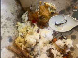 Beli Nasi Ikan Teri, Pelanggan Ini Dapat Bonus Lauk Kuda Laut Beli Nasi Ikan Teri, Pelanggan Ini Dapat Bonus Lauk Kuda Laut