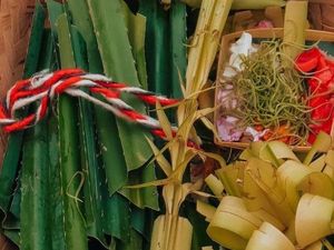 Tradisi Memasang Seselat di Rumah Warga Bali Menjelang Tumpek Wayang Tradisi Memasang Seselat di Rumah Warga Bali Menjelang Tumpek Wayang