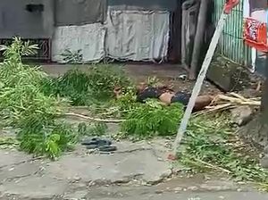 Karyawan Toko di Makassar Tersengat Listrik Saat Disuruh Bos Pangkas Pohon Karyawan Toko di Makassar Tersengat Listrik Saat Disuruh Bos Pangkas Pohon