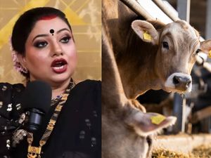Wanita Ini Minum Urin Sapi Selama 45 hari Demi Tebus Dosa Wanita Ini Minum Urin Sapi Selama 45 hari Demi Tebus Dosa