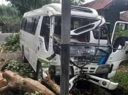 Minibus Tabrak Pohon di Jalan Denpasar-Gilimanuk, Empat Penumpang Terluka