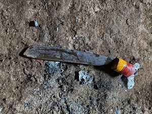 Polisi Amankan Golok-Racun Semut yang Dipakai Ibu Bacok Bayi di Lampung