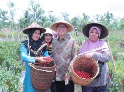 Membangun dari Desa, dari Bawah untuk Pemerataan Pembangunan