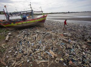 Pantai Dadap Indramayu Dipenuhi Sampah Pantai Dadap Indramayu Dipenuhi Sampah