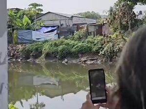 Geger Warga Lihat 3 Ekor Buaya di Sungai Wonorejo Surabaya