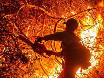 Damkar Terus Berjuang Padamkan Kebakaran di Los Angeles