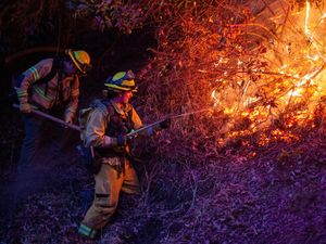 Alasan di AS Sering Terjadi Kebakaran Hebat