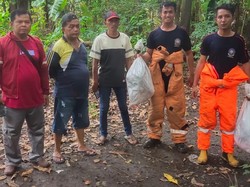 2 Orang Meninggal Disengat Tawon Vespa di Sidoarjo