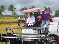 Panen Padi di Banyuasin, Zulhas Tegaskan Bulog Beli Gabah Petani Rp 6.500