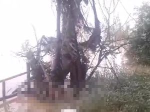 Mayat Pria Tanpa Identitas Ditemukan di Pinggir Sungai Batanghari Mayat Pria Tanpa Identitas Ditemukan di Pinggir Sungai Batanghari