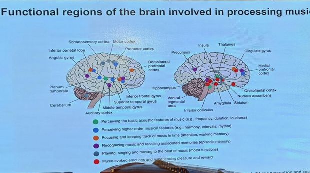 Direktur Tsinghua Laboratory of Brain and Intelligence, Xiaoqin Wang menyebut bagian tubuh yang sebenarnya mendengarkan musik bukanlah telinga, tetapi otak.