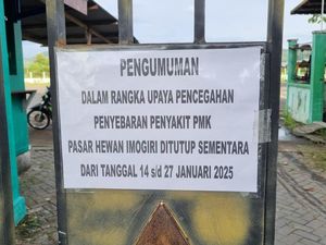 Pasar Hewan Imogiri Ditutup 14 Hari Imbas PMK Ngegas Pasar Hewan Imogiri Ditutup 14 Hari Imbas PMK Ngegas