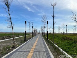 Jogging dengan Suasana Ciamik di Taman Suarsih Pangandaran