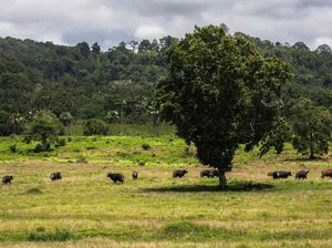 5 Destinasi Romantis di Banyuwangi dengan View Menakjubkan untuk Valentine 5 Destinasi Romantis di Banyuwangi dengan View Menakjubkan untuk Valentine
