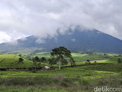 Pendakian Gunung Dempo Dibatasi Saat Nataru, Terapkan Sistem Bergantian