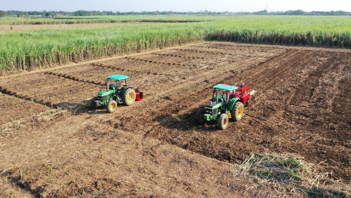 ID Food Siapkan Aset Lahan dan Bangunan untuk Swasembada Pangan ID Food Siapkan Aset Lahan dan Bangunan untuk Swasembada Pangan