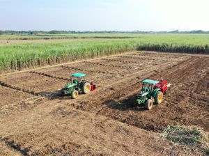 ID Food Siapkan 2.000 Aset Bangunan-Tanah buat Swasembada Pangan ID Food Siapkan 2.000 Aset Bangunan-Tanah buat Swasembada Pangan