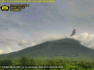 Gunung Ile Lewotolok di Lembata Meletus Pagi Ini, Waspada Longsoran Lava Gunung Ile Lewotolok di Lembata Meletus Pagi Ini, Waspada Longsoran Lava