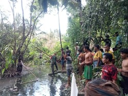 Bocah Tewas Diterkam Buaya Saat Berenang, 2 Jam Dicari Baru Ditemukan