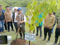 Menhut Raja Juli Bantah Babat 20 Juta Hektare Hutan untuk Ketahanan Pangan