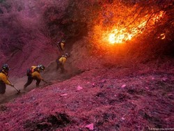 Pemulihan Los Angeles Butuh Dana Besar, Biden Minta Dukungan Kongres