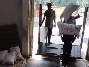 Distributor Pupuk di Lombok Timur Bantah Tuduhan Permainan Distribusi